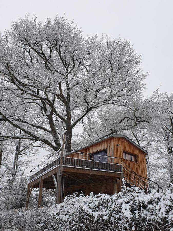 La Cabane Perchee Du Faucon Frechou-Frechet Екстериор снимка